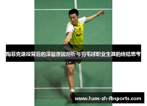 陶菲克退役背后的深层原因剖析与羽毛球职业生涯的终结思考